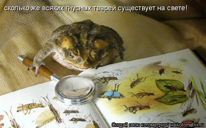 сколько же всяких гнусных тварей существует на свете!... Котоматрица: сколько же всяких гнусных тварей существует на свете!