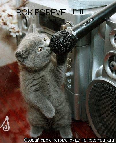 ROK FOREVEL!!!!!!... Котоматрица: ROK FOREVEL!!!!!!