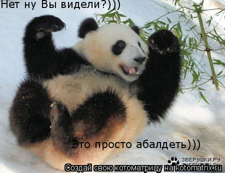 Нет ну Вы видели?))) Это просто абалдеть)))... Котоматрица: Нет ну Вы видели?))) Это просто абалдеть)))