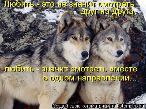 Любить - это не значит смотреть друг на друга, любить - значит смотреть вместе в одном направлении.... Котоматрица: Любить - это не значит смотреть друг на друга, любить - значит смотреть вместе в одном направлении...