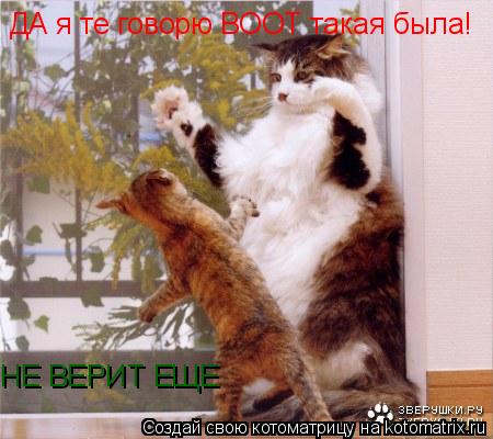 ДА я те говорю ВООТ такая была! НЕ ВЕРИТ ЕЩЕ... Котоматрица: ДА я те говорю ВООТ такая была! НЕ ВЕРИТ ЕЩЕ