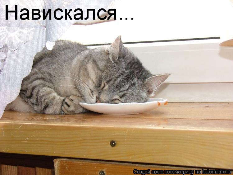 Навискался...... Котоматрица: Навискался...