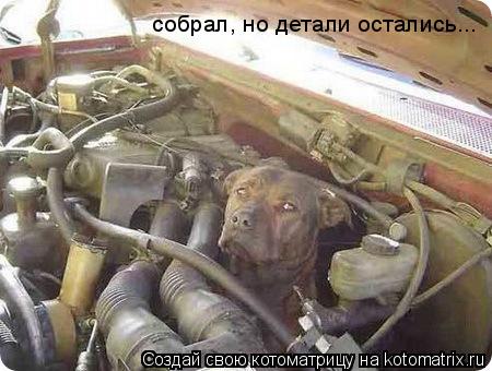 собрал, но детали остались...... Котоматрица: собрал, но детали остались...