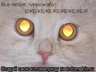 БЖБЖБЖБЖБЖБЖБЖБЖ Все любят гипножабу!... Котоматрица: БЖБЖБЖБЖБЖБЖБЖБЖ Все любят гипножабу!