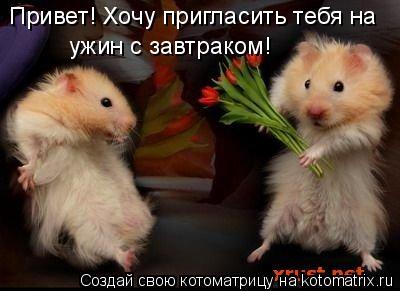 Привет! Хочу пригласить тебя на ужин с завтраком!... Котоматрица: Привет! Хочу пригласить тебя на ужин с завтраком!