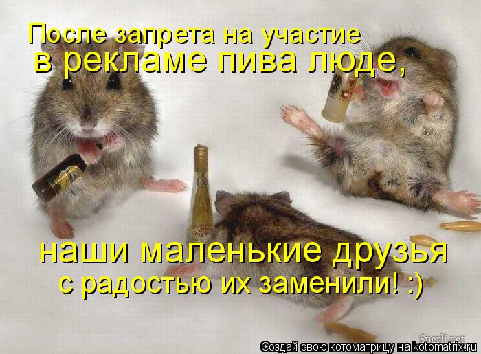 После запрета на участие в рекламе пива люде, наши маленькие друзья с радостью их заменили! :)... Котоматрица: После запрета на участие в рекламе пива люде, наши маленькие друзья с радостью их заменили! :)