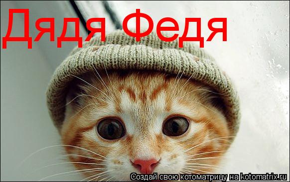 Дядя Федя... Котоматрица: Дядя Федя