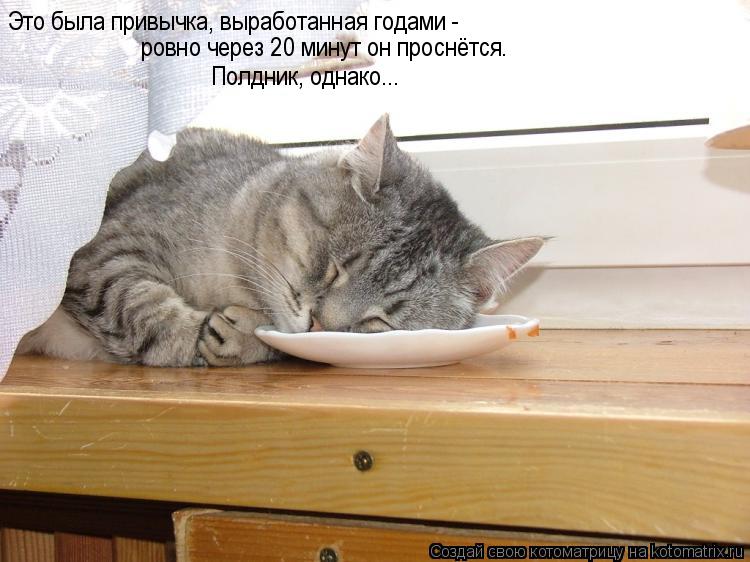 Котоматрица: Это была привычка, выработанная годами -  ровно через 20 минут он проснётся. Полдник, однако...