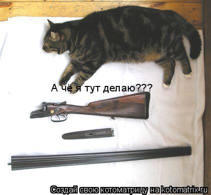 А чё я тут делаю???... Котоматрица: А чё я тут делаю???