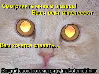 Смотрииите мнее в глазааа! Ваши веки тяжелеееют, Вам хочется спааать...... Котоматрица: Смотрииите мнее в глазааа! Ваши веки тяжелеееют, Вам хочется спааать...