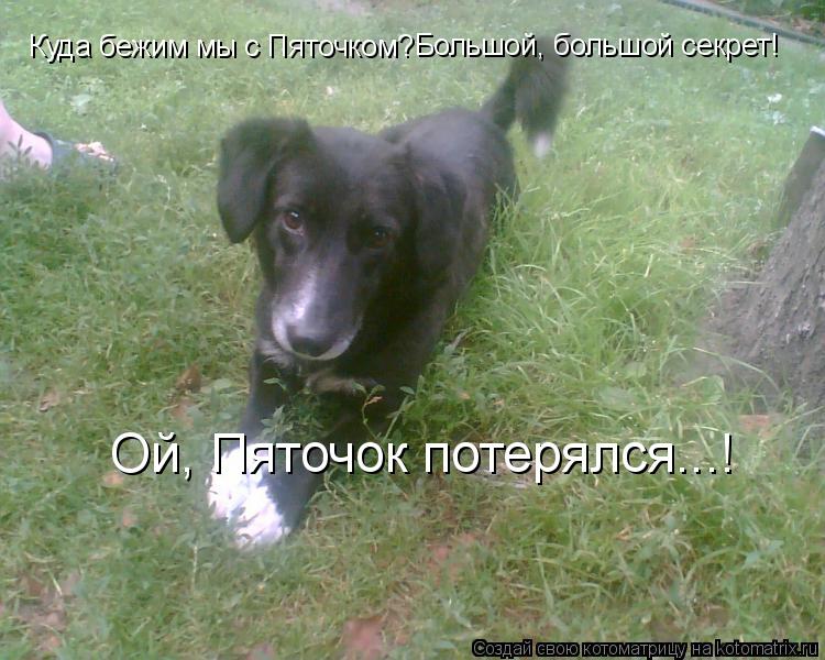 Куда бежим мы с Пяточком? Большой, большой секрет! Ой, Пяточок потерялся...!... Котоматрица: Куда бежим мы с Пяточком? Большой, большой секрет! Ой, Пяточок потерялся...!