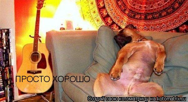 ПРОСТО ХОРОШО... Котоматрица: ПРОСТО ХОРОШО