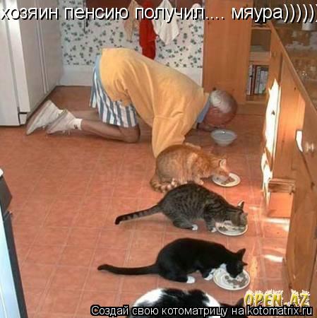 хозяин пенсию получил.... мяура))))))))))))))... Котоматрица: хозяин пенсию получил.... мяура))))))))))))))