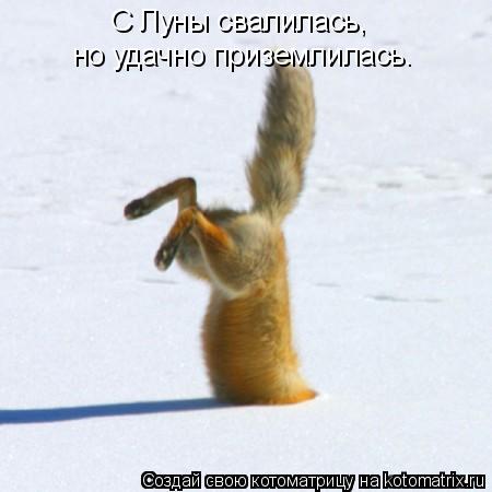 Котоматрица: С Луны свалилась, но удачно приземлилась.