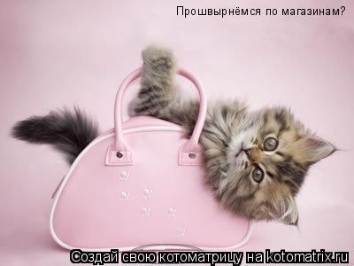 Прошвырнёмся по магазинам?... Котоматрица: Прошвырнёмся по магазинам?