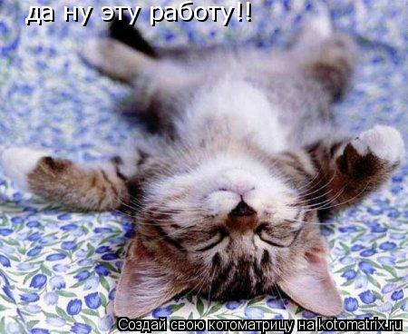 да ну эту работу!!... Котоматрица: да ну эту работу!!