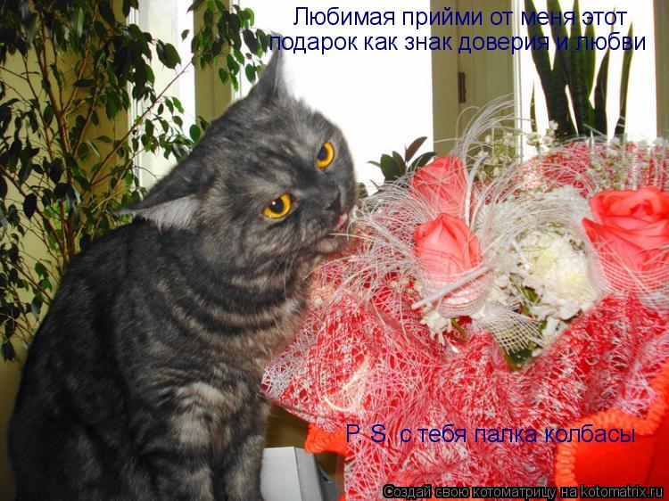 Любимая прийми от меня этот подарок как знак доверия и любви P. S. с тебя палка колбасы... Котоматрица: Любимая прийми от меня этот подарок как знак доверия и любви P. S. с тебя палка колбасы