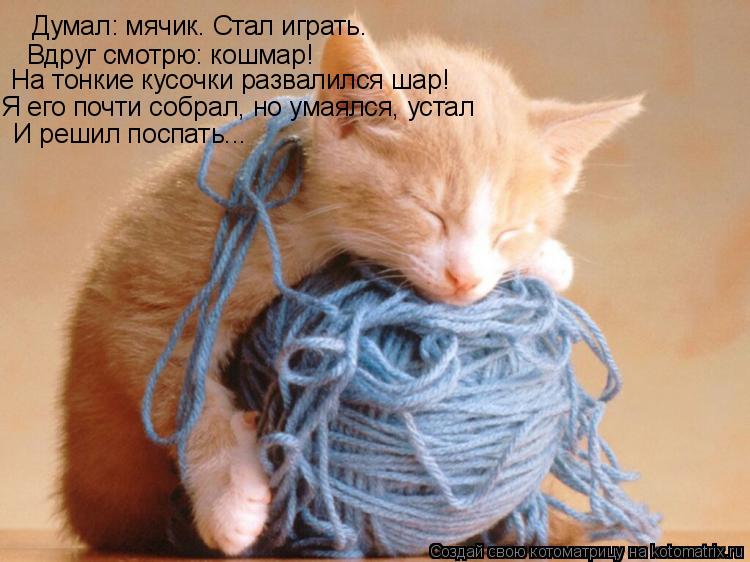 Думал: мячик. Стал играть. Вдруг смотрю: кошмар! На тонкие кусочки развалился шар! Я его почти собрал... Котоматрица: Думал: мячик. Стал играть. Вдруг смотрю: кошмар! На тонкие кусочки развалился шар! Я его почти собрал, но умаялся, устал И решил поспать...
