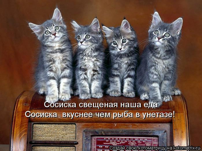 Сосиска свещеная наша еда Сосиска вкуснее чем рыба в унетазе!... Котоматрица: Сосиска свещеная наша еда Сосиска вкуснее чем рыба в унетазе!
