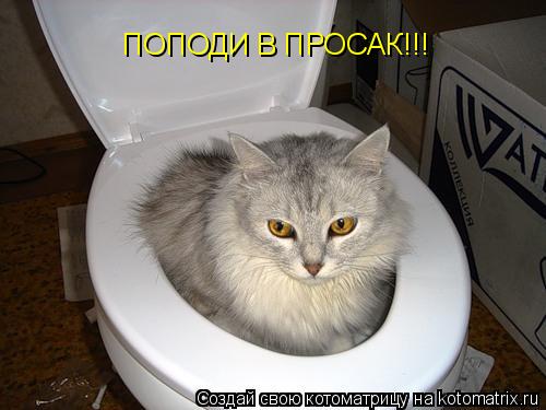ПОПОДИ В ПРОСАК!!!... Котоматрица: ПОПОДИ В ПРОСАК!!!