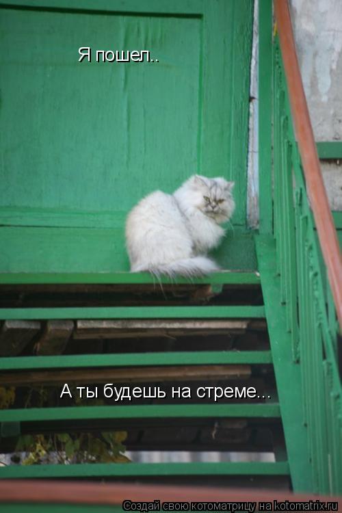 Я пошел.. А ты будешь на стреме...... Котоматрица: Я пошел.. А ты будешь на стреме...