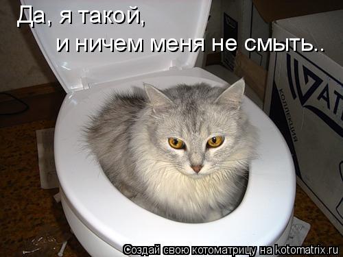 Да, я такой, и ничем меня не смыть..... Котоматрица: Да, я такой, и ничем меня не смыть..