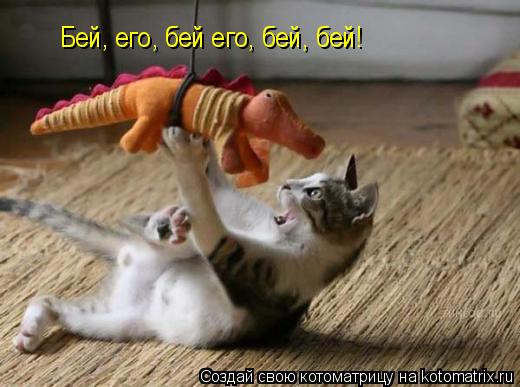 Бей, его, бей его, бей, бей!... Котоматрица: Бей, его, бей его, бей, бей!