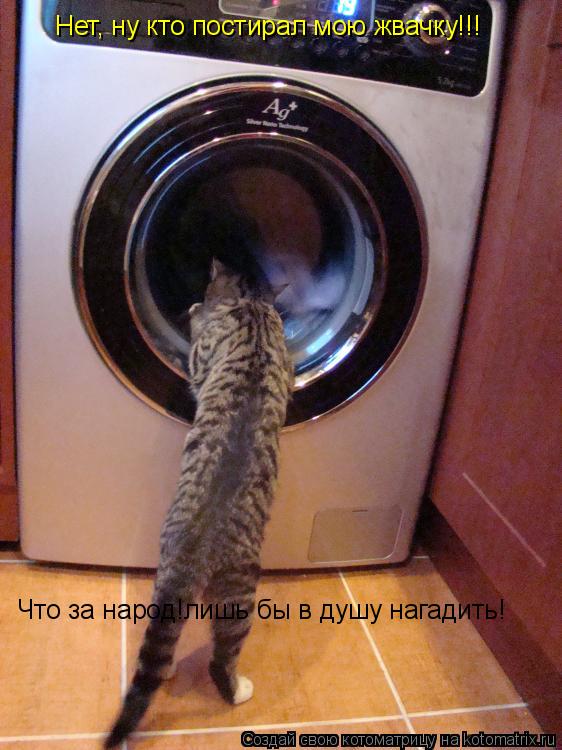 Нет, ну кто постирал мою жвачку!!! Что за народ!лишь бы в душу нагадить!... Котоматрица: Нет, ну кто постирал мою жвачку!!! Что за народ!лишь бы в душу нагадить!