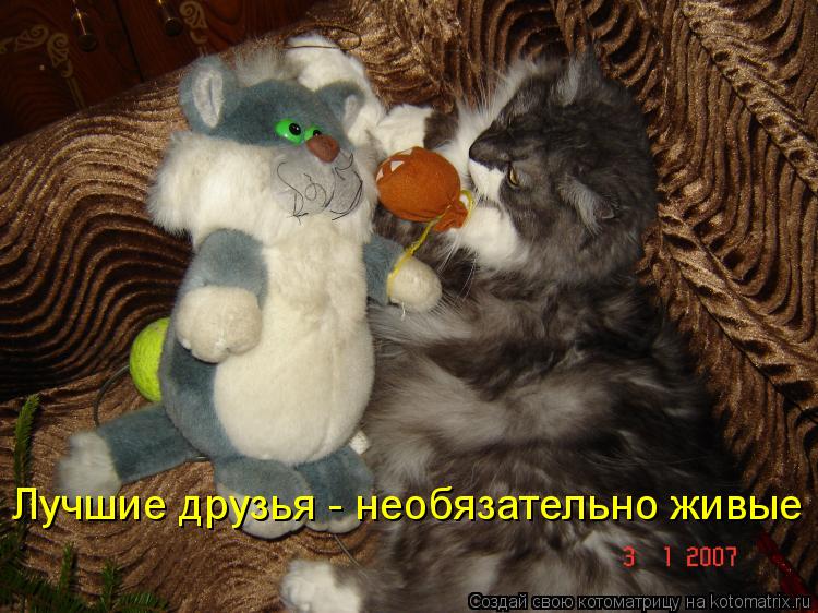 Лучшие друзья - необязательно живые... Котоматрица: Лучшие друзья - необязательно живые