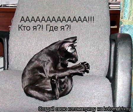 ААААААААААААА!!! Кто я?! Где я?!... Котоматрица: ААААААААААААА!!! Кто я?! Где я?!