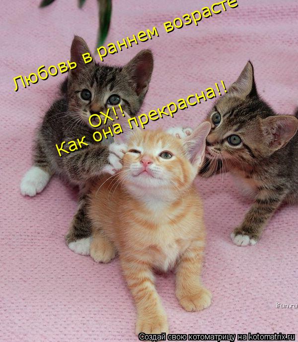 Любовь в раннем возрасте ОХ!! Как она прекрасна!!... Котоматрица: Любовь в раннем возрасте ОХ!! Как она прекрасна!!