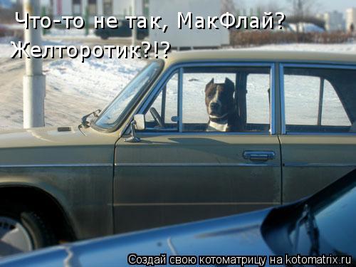 Что-то не так, МакФлай? Желторотик?!?... Котоматрица: Что-то не так, МакФлай? Желторотик?!?