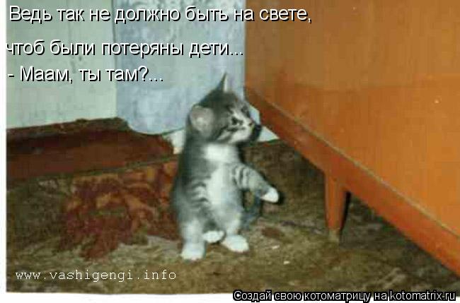 Ведь так не должно быть на свете, чтоб были потеряны дети... - Маам, ты там?...... Котоматрица: Ведь так не должно быть на свете, чтоб были потеряны дети... - Маам, ты там?...
