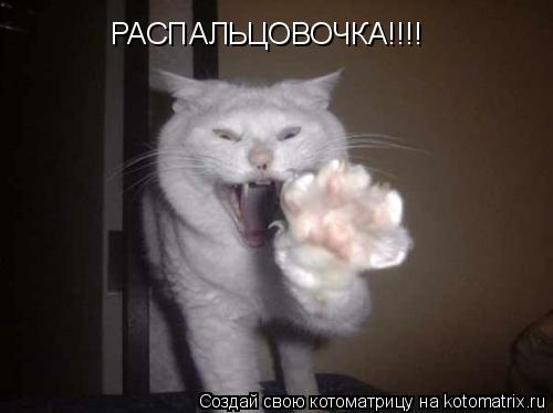 РАСПАЛЬЦОВОЧКА!!!!... Котоматрица: РАСПАЛЬЦОВОЧКА!!!!