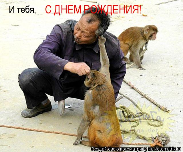 И тебя, С ДНЕМ РОЖДЕНИЯ!... Котоматрица: И тебя, С ДНЕМ РОЖДЕНИЯ!