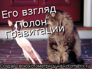 Его взгляд Полон Гравитации... Котоматрица: Его взгляд Полон Гравитации