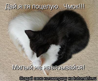 Дай,я тя поцелую...Чмок!!! Милый,не навязывайся!... Котоматрица: Дай,я тя поцелую...Чмок!!! Милый,не навязывайся!
