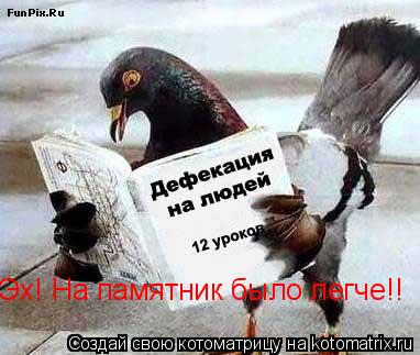 Эх! На памятник было легче!!... Котоматрица: Эх! На памятник было легче!!