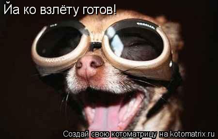 Йа ко взлёту готов!... Котоматрица: Йа ко взлёту готов!