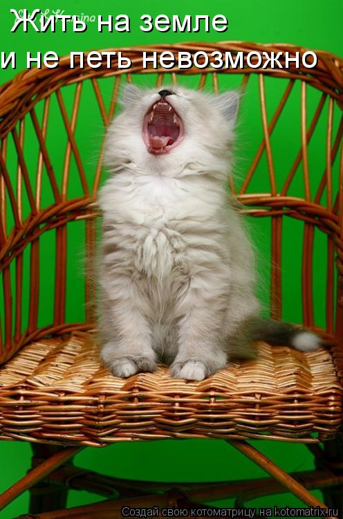 и не петь невозможно Жить на земле... Котоматрица: и не петь невозможно Жить на земле