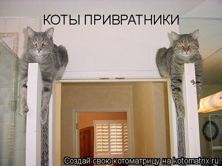 КОТЫ ПРИВРАТНИКИ... Котоматрица: КОТЫ ПРИВРАТНИКИ
