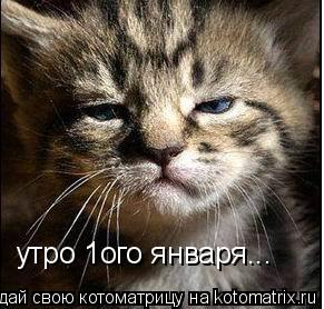 утро 1ого января...... Котоматрица: утро 1ого января...