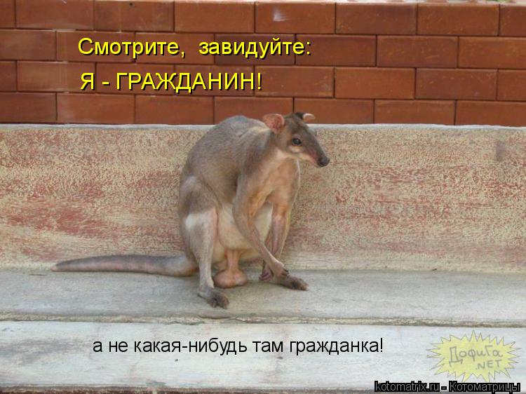 Смотрите, завидуйте: Я - ГРАЖДАНИН! а не какая-нибудь там гражданка!... Котоматрица: Смотрите, завидуйте: Я - ГРАЖДАНИН! а не какая-нибудь там гражданка!