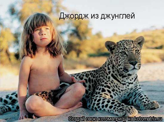 Джордж из джунглей... Котоматрица: Джордж из джунглей