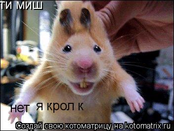ти миш нет я кролік... Котоматрица: ти миш нет я кролік