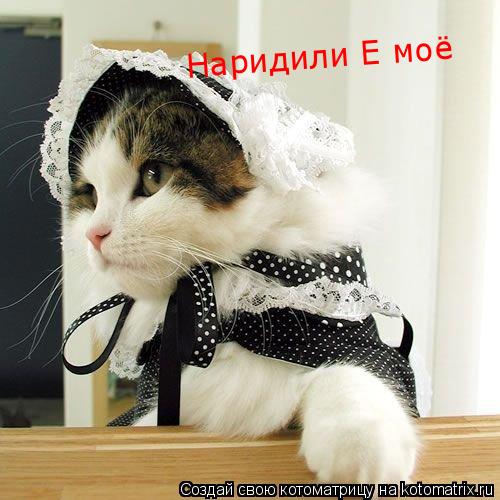 Наридили Е моё... Котоматрица: Наридили Е моё