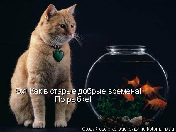 Эх! Как в старые добрые времена! По рыбке!... Котоматрица: Эх! Как в старые добрые времена! По рыбке!