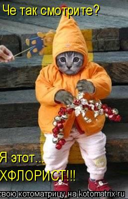 Че так смотрите? Я этот... ХФЛОРИСТ!!!... Котоматрица: Че так смотрите? Я этот... ХФЛОРИСТ!!!