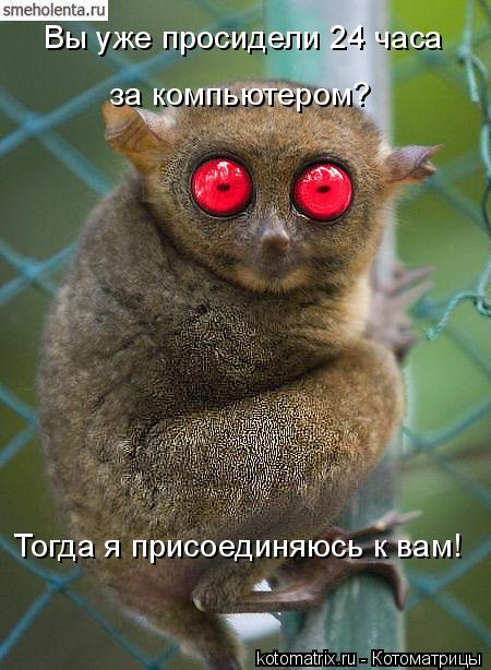 Вы уже просидели 24 часа за компьютером? Тогда я присоединяюсь к вам!... Котоматрица: Вы уже просидели 24 часа за компьютером? Тогда я присоединяюсь к вам!