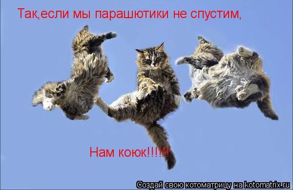 Так,если мы парашютики не спустим, Нам коюк!!!!!!... Котоматрица: Так,если мы парашютики не спустим, Нам коюк!!!!!!